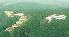 SCA